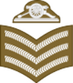 Sergeant (Army of Malta)[63]