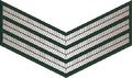 Sergeant (Sri Lanka Army)[80]