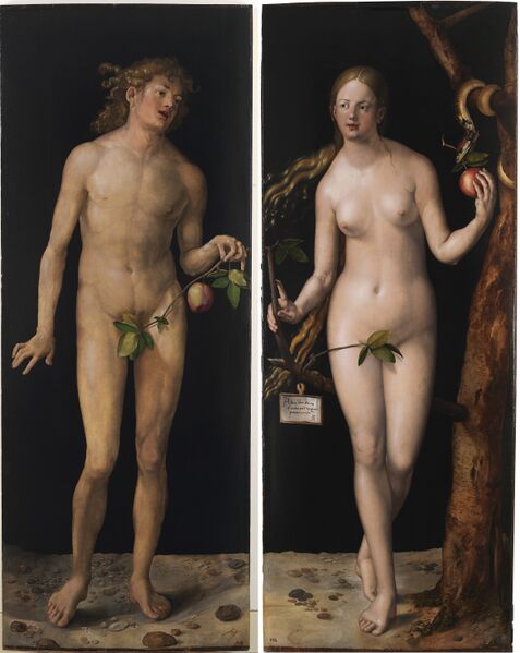 Bestand:Albrecht Dürer - Adam and Eve (Prado) 2.jpg