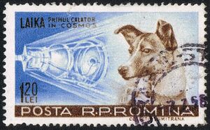 Roemeense postzegel ter herinnering aan Laika, 1959