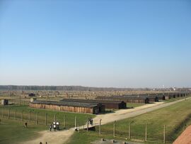 Het kamp Auschwitz-Birkenau vanuit de hoofdpoort.