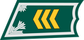 Kersantti (Finnish Army)[42]