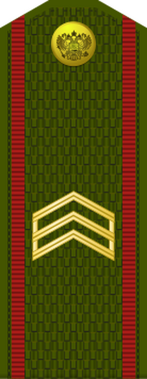 Russia-Army-OR-5-1994-field.svg