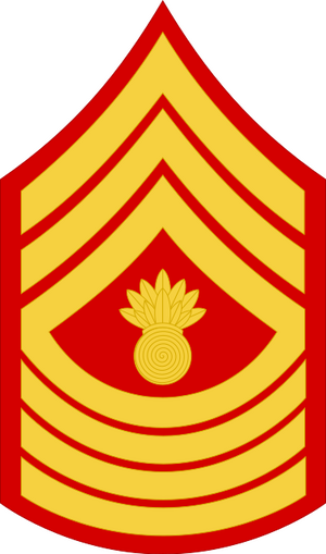 USMC-E9-MGyS.svg