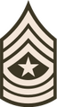 Sergeant major (United States Army)[38]