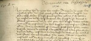 Een fragment van een ordonnantie, gevaardigd door Hendrik III van Nassau in Breda op 22 november 1534. Een voorbeeld van zo'n ordonnantie voor brandpreventie is die van Breda, gevaardigd door Hendrik III van Nassau op 22 november 1534 (Bron: Erfgoed Breda)