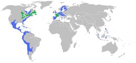 Frankrijk met zijn kolonies (groen) en zijn tegenstanders (blauw)
