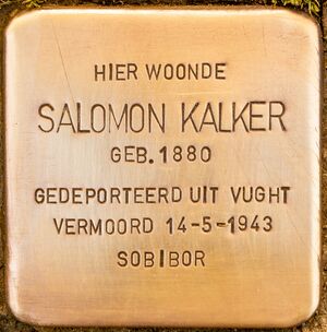 Stolperstein Salomon Kalker 1.jpg