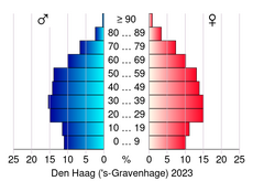 Bevolkingspiramide van de gemeente Den Haag