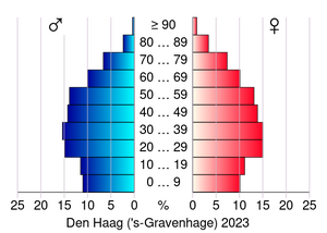 AgeSexPyramid 2023 Den Haag.svg