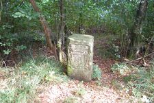 Historisch landschapselement: Oude grenspaal tussen Gelder en Munster