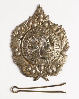 Cap badge