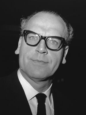 Maarten Vrolijk (1965).jpg