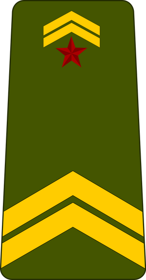 Djibouti-Army-OR-5.svg