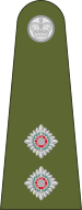 Bestand:Belize-Army-OF-1b(1).svg