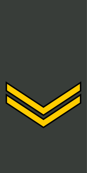 Georgia-Army-OR-5.svg