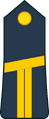 Lieutenant (Ivory Coast Ground Forces)[42]