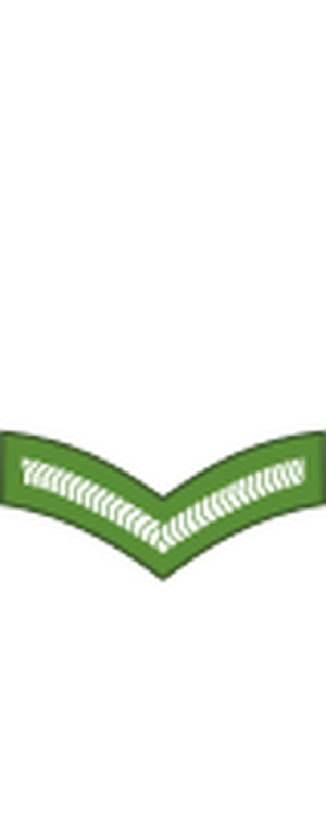 PNGDF Land OR-03.svg