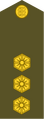 Leitnant (Estonian Land Forces)[31]