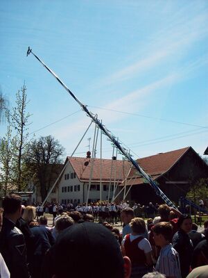 Fuchstal maibaum2006 aufstellen04.jpg