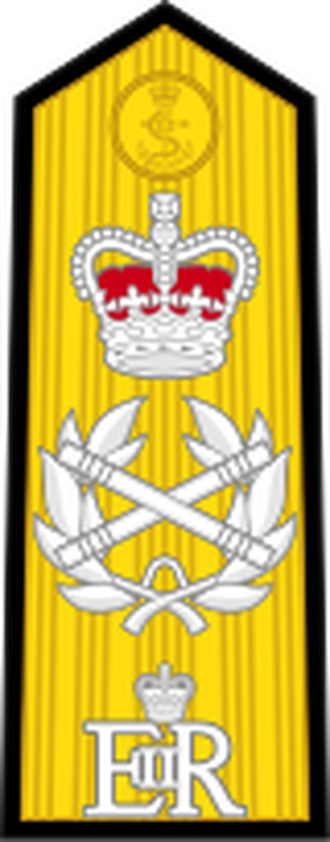 British Royal Navy OF-10.svg