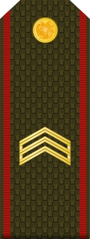 Armenia-Army-OR-5.svg