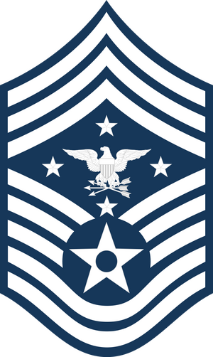 USAF SEAC.svg