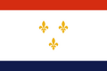 Vlag van New Orleans, Verenigde Staten