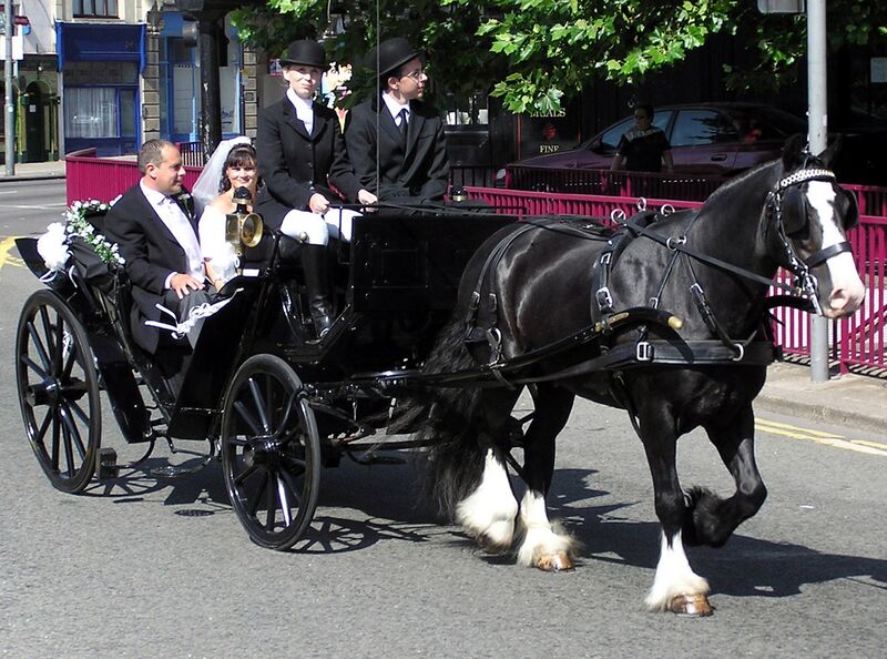 Bestand:Wedding.carriage.bristol.arp.jpg
