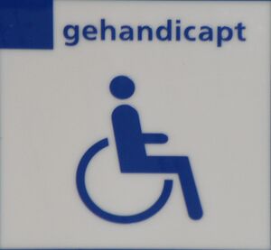 Gehandicapt symbool (NS).jpg