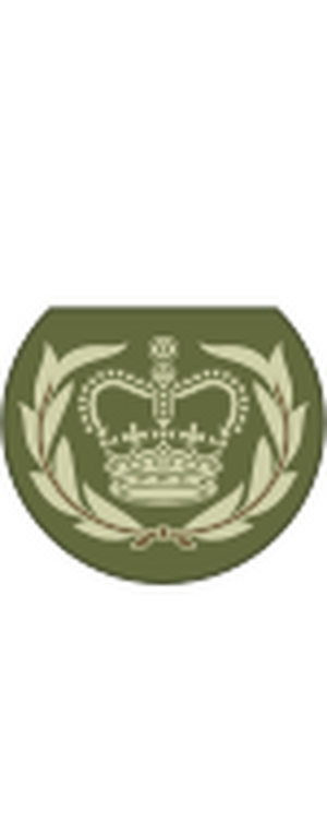 British Army OR-8b.svg