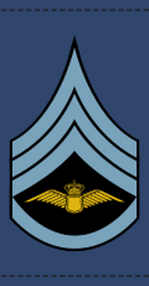 Denmark-AirForce-OR-5.svg