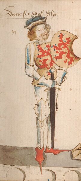 Dirk VII van Holland