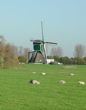 Molen (Weijpoort).jpg