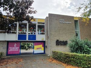 Obs de Springplank 's Gravenmoer.jpg