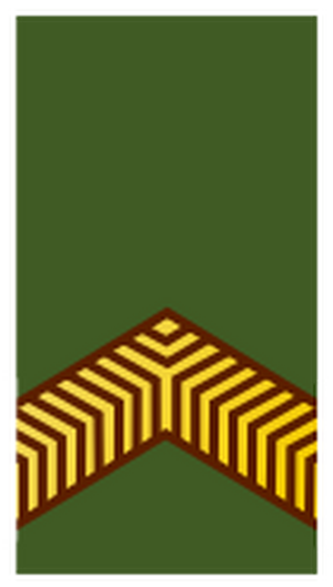 Nl-landmacht-korporaal.svg