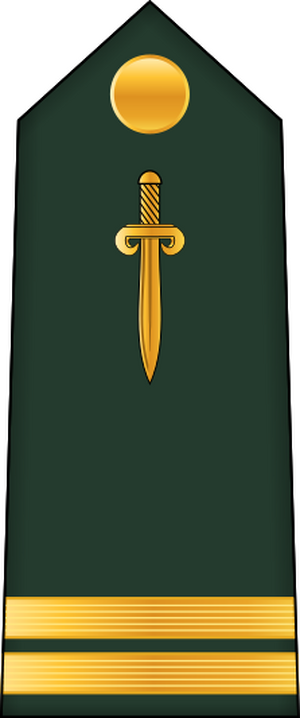 11.CAGF-1LT.svg