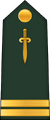 Lieutenant (Central African Ground Forces)