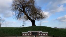 Monument Kapelsche Veer en 'de boom die alles zag' (foto: Willem-Jan Joachems)