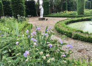 Tuin-het-loo.jpg