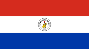 Flag of Paraguay (reverse).svg