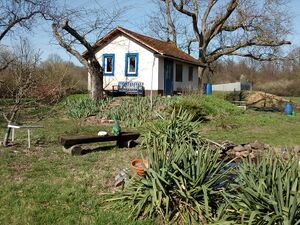 Wolfsraingraben, Gartenlaube auf Warft.jpg