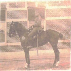 Jacobus Berge met paard Bulles