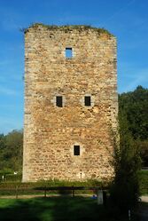 Van veel donjons blijft enkel een ruïne over : Tour d'Alvaux in Walhain (België)