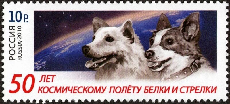 Belka en Strelka op een Russische postzegel (Publiek Domein – wiki)