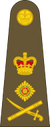 General