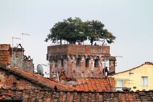 Torre Guinigi, tra i tetti - panoramio.jpg