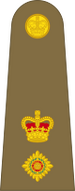Bestand:British Army OF-4.svg
